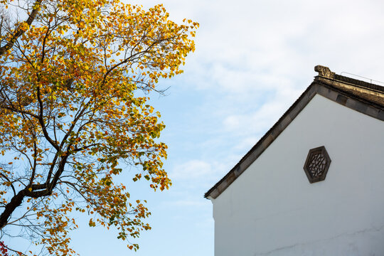Nanjing Laomendong old town Huizhou-style architecture and Chinese tallow tree autumn scenery, China