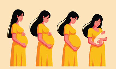 Pregnancy Stages A Visual Guide to the Journey of a Woman From Conception to Childbirth and Baby's First Days