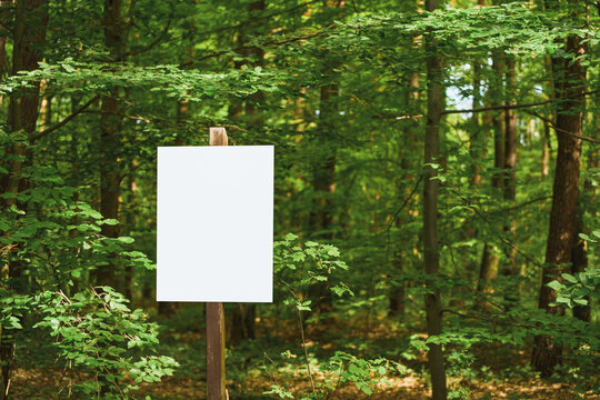 White signboard in a green forest with wood pole