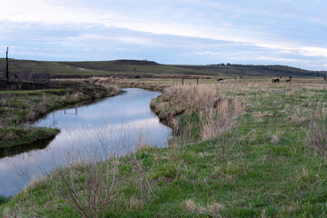 Stream and horse landscape early morning oklahoma