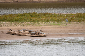 boat on the river with bird