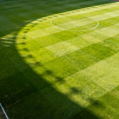 Obraz premium soccer field with lines