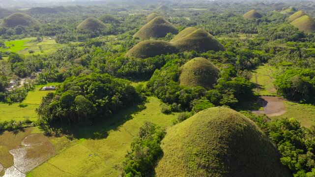 Aerial drone of the chocolate hills, a famous tourist destination on the island of Bohol, Philippines.