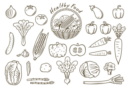 野菜　線画イラスト　アイコンセット　ベクター