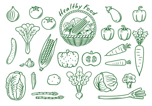 野菜　線画イラスト　アイコンセット　ベクター