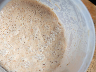 bubbles on sourdough bread starter