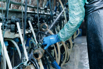 Worker in protective gear cleaning industrial vacuum milking machine dairy equipment with water hose © Parilov