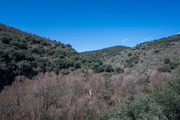 A vibrant view of Palancon ravine in Bayárcal, Almería, showing green hills, dense vegetation, and a rugged rocky terrain, under a crisp blue sky