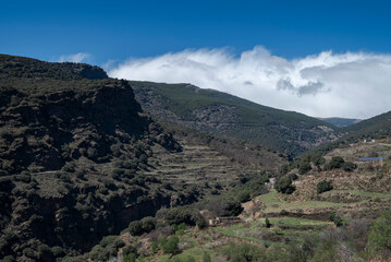 The Palancon ravine in Bayarcal, Almería, Spain, features rugged cliffs, terraced slopes, and lush greenery under a bright blue sky with drifting clouds. A stunning natural and rural landscape