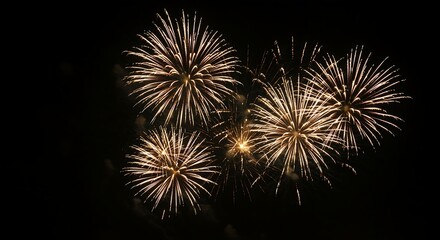 Golden starbursts illuminate dark night sky fireworks