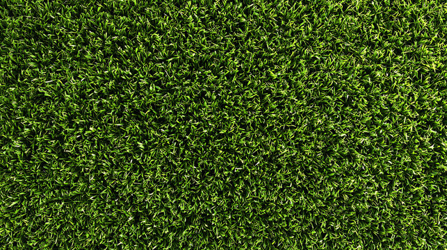 Vibrant Green Turf Background Texture for Landscaping and Golf