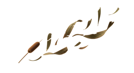 Dried cattail and fallen leaves, a symbol of autumn's transient beauty and nature's gentle decay