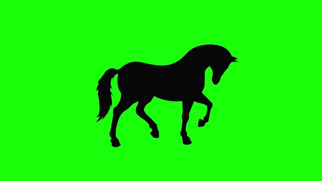Black silhouette of a horse walking gracefully against a green screen background. Animal locomotion animation