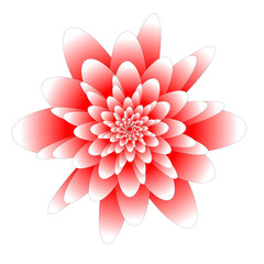Abstract Red and White Flower Design on Black Background Artwork