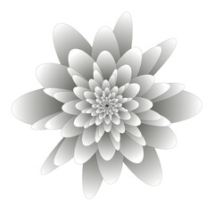 Abstract white flower fractal with many petals on black background design