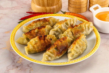 Japanese fried Gyoza stuffed dumplings