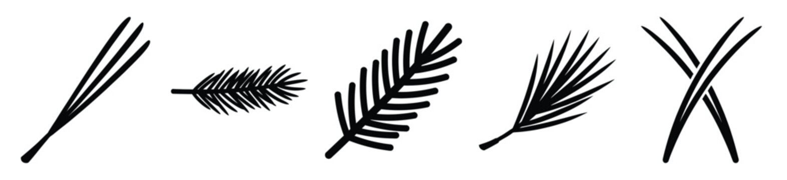 frozen pine needle vector design with black silhouette and white background