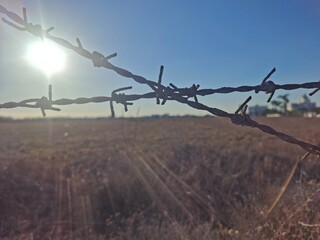 barbed wire fence in the field