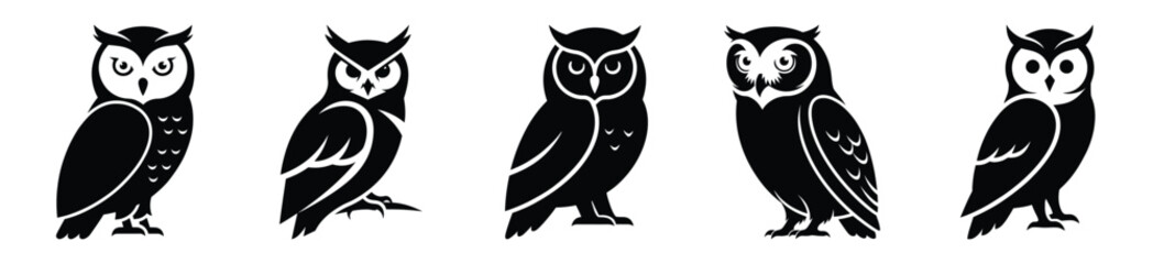 winter owl vector design with black silhouette and white background