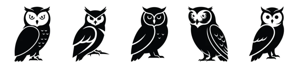 Selbstklebende Fototapeten Eulen winter owl vector design with black silhouette and white background  © Pallobroy