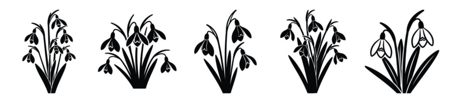 winter snowdrops vector design with black silhouette and white background
