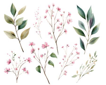 Delicate watercolor botanical illustrations of pink flowers and green leaves isolated on transparent background