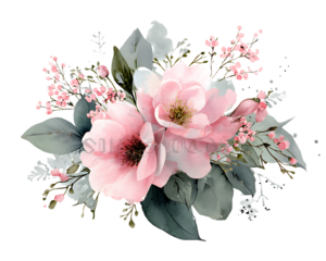 Delicate watercolor pink peony floral arrangement with greenery isolated on transparent background