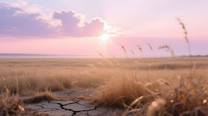 Beautiful Sunrise Over Dry Grassland Landscape with Cracked Ground