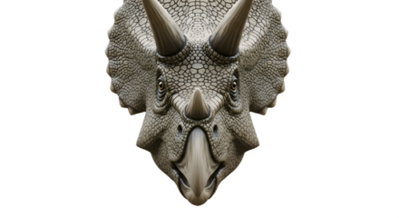Majestic Triceratops Head Displaying Horns and Frill in Detailed Close Up.