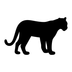Fototapeta premium Silhouette of a Powerful Black Panther Standing Still, A Majestic Feline