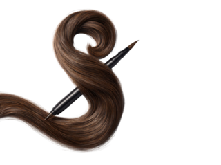A brush is shown with a long brown hair
