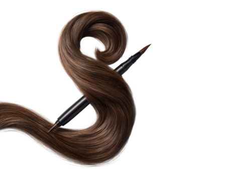 A brush is shown with a long brown hair