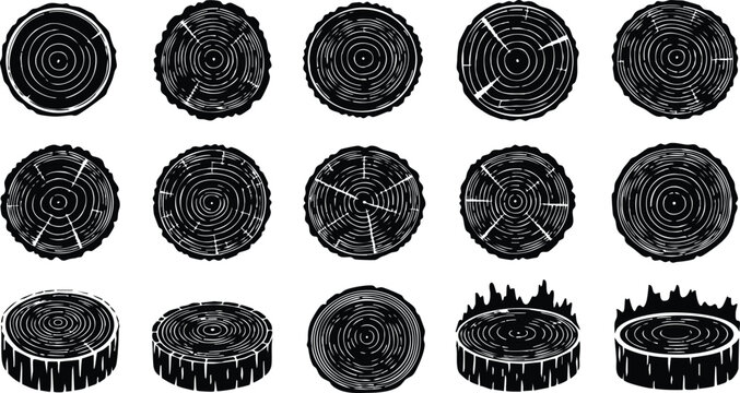 Tree trunk cross section vector set with natural wood rings and bark textures illustration collection 