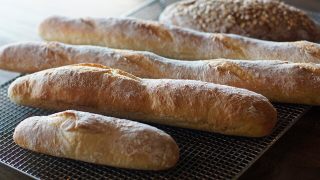 Side view close-up of fresh baguettes and artisan loaves cooling on a wire rack. Natural light highlights the golden crust and flour-dusted texture, ideal for bakery promotions, packaging, recipe blog