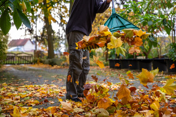 Laub Bl&auml;tter im Herbst mit Schwung auf einen Haufen schmei&szlig;en