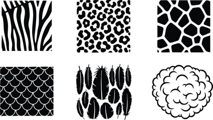 Obraz premium Animal Skin and Feather Patterns Including Zebra, Leopard, Giraffe, Fish Scales, Bird Feathers, and Sheep Wool Textures Vector Illustration