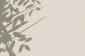 Obraz premium The captivating shadow play of leaves on a neutral backdrop, a minimalist design. This image showcases the subtle details of nature and offers a sense of calm and simplicity. 