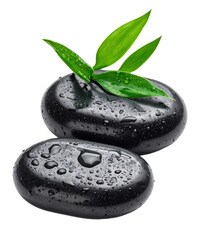 Stack of black stones with water droplets and green leaves for spa