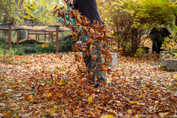 Laub mit Schwung zu Hause zusammen kehren