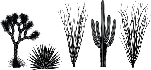 Illustration of a detailed black and white illustration showcases a variety of desert plants, including a joshua tree, ocotillo, saguaro cactus, and yucca, isolated on © VectoInfinity 
