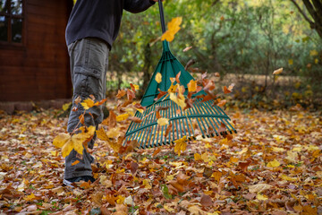 Ein Man fegt den Garten mit einem Rechen