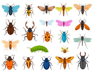 Collection of colorful insect icons, various shapes and wing patterns, laid out in a grid format