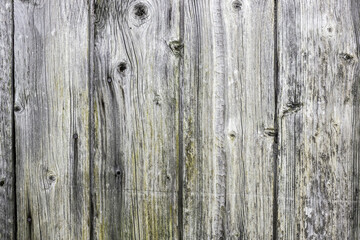 The old wood texture with natural patterns
