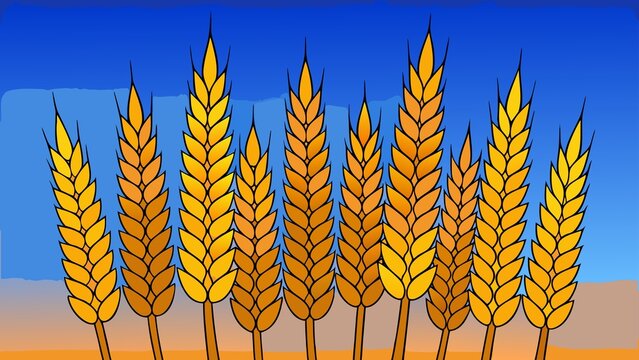 Golden wheat stalks against a vibrant blue sky