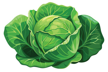 Fresh cabbage head displays vibrant green leaves layered in a detailed organic arrangement