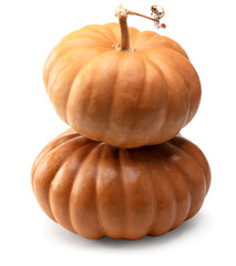 pumpkin isolated on white background. clipping path
