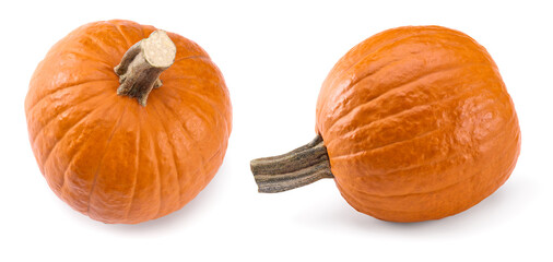 pumpkin isolated on white background. clipping path