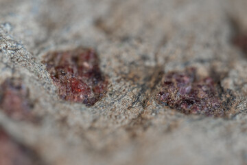 Small Czech ruby–pyrope crystal on a stone.
