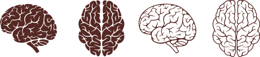 Human brain icon collection in line art and solid silhouette styles. Abstract anatomical brain illustrations for science, psychology, and medical design themes. Minimal vector set showing intelligence