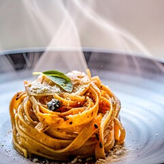 
HDR close-up of creamy pasta with glossy sauce, vivid highlights, rich contrast, and lifelike texture, captured in dramatic studio lighting.
